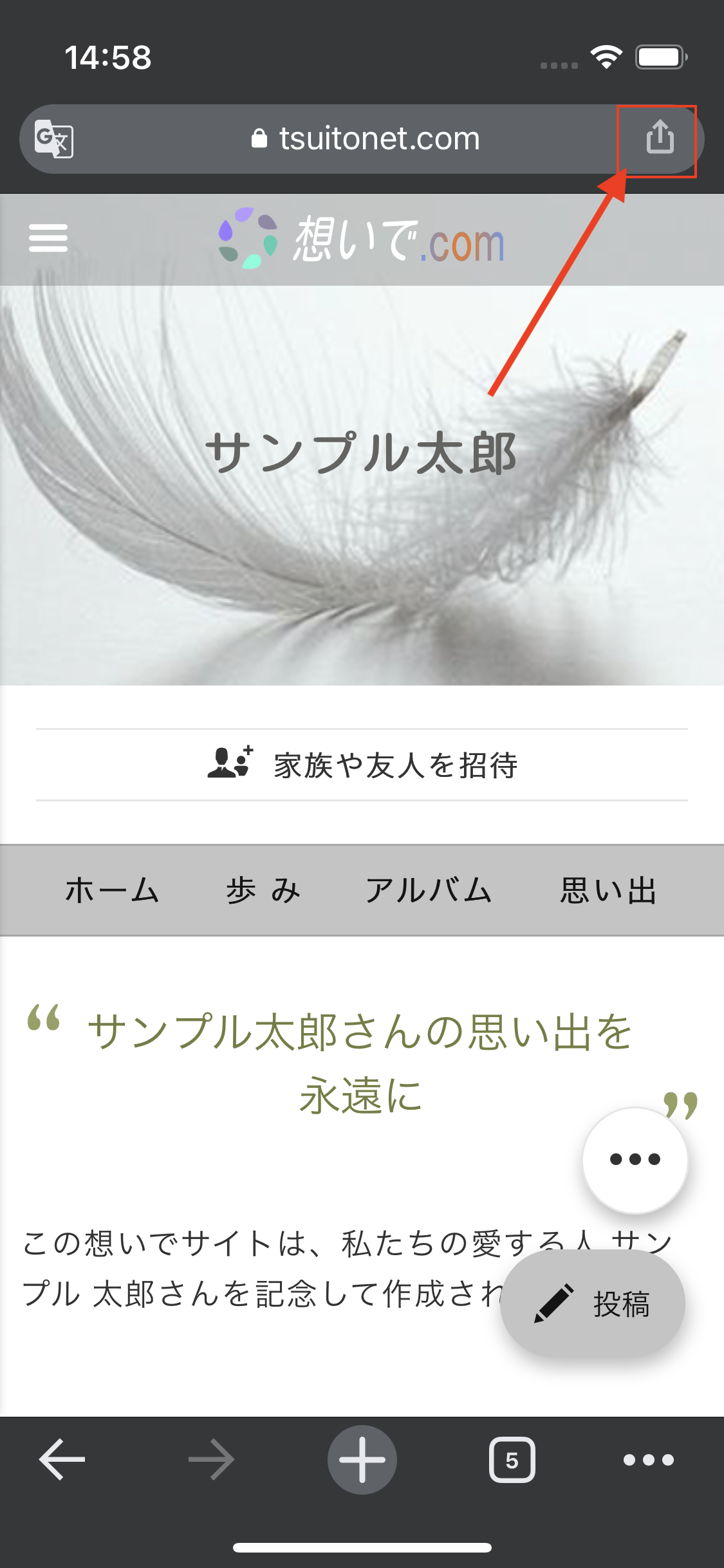 IMG_0247.png